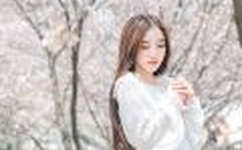 苍井空免费线在线观看